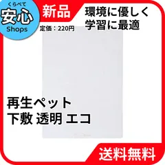 【新品・送料無料】 レイメイ藤井 再生ペット下敷 透明 エコ 学習用 U140T [EC-NP]のサムネイル