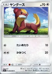【中古】 ポケモンカードゲーム ヤングース SM1S SM1S 049/060 Cのサムネイル