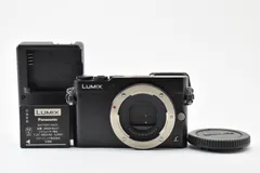 2026年最新】Panasonic ミラーレス一眼カメラ GM5の人気アイテム