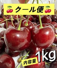 クール便 爽やかな初夏の果実「赤スグリ」入荷しております 160g