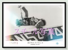 z『マイライフ・アズ・ア・ドッグ』映画オリジナルB2判ポスターa