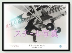 z『マイライフ・アズ・ア・ドッグ』映画オリジナルB2判ポスターa