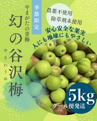 2026年最新】さくらんぼ 山形の人気アイテム - メルカリ