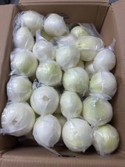 北海道産】新鮮 白玉ねぎ サラダ玉ねぎ 箱込み 7kg以上 8月5日まで
