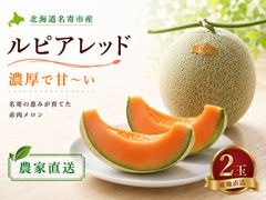 北海道らいでんメロン 赤肉 「品種:ルピアレッド」秀品 4玉8キロ 