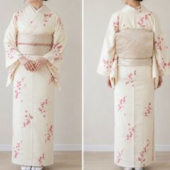 お買得】夏着物と夏帯セット 普段着 夏コーデ 絽 着丈157㎝ - メルカリ