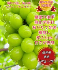 【予約販売7/10頃より順次発送】岡山県産シャインマスカット 300g×2房 秀品 栽培期間中農薬不使用 農林大臣賞2度受賞 糖度16度以上 パリッと食感 芳醇な香り 種あり 皮ごとOK 贈答用 ギフト お中元 誕生日お祝い プレゼント高級ぶどう新鮮 採れたてのサムネイル