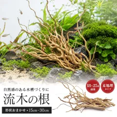 アクアリウム 流木 ーVer4ー 自然の流木の根 木の根 1束50gセット 極細ルーツウッド 形状お任せタイプ 15～30cm 極細流木 水槽撮影 テラリウム レイアウト用品 流れた木 水草 隠れ家 活着ベース 水槽 淡水水槽 爬虫類 両生類 熱帯魚 ペットのサムネイル