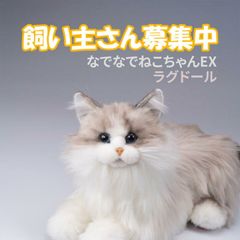 KIMIT ラグドール(ブラウン) ペットロボット 極美品 - メルカリ