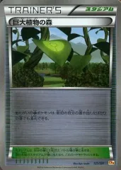 【中古】ポケモンカードゲーム 127/131：(キラ)巨大植物の森のサムネイル