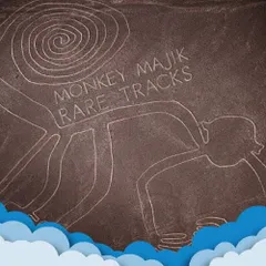 【CD】MONKEY MAJIK / RARE TRACKSのサムネイル