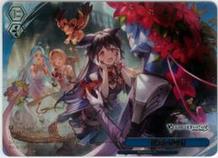 ヴァイスシュヴァルツ/秘密の趣味/RRR/グランブルーファンタジー/GBF