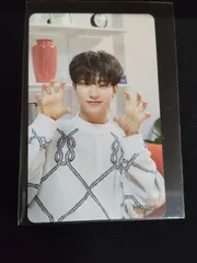 2606265 SEVENTEEN トレカ セブチ ホシ ひとりじゃない HMV 特典