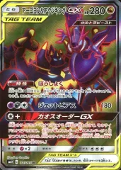 【中古】ポケモンカードゲーム 101/095[SR]：(キラ)アーゴヨン＆アクジキングGXのサムネイル