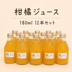 愛媛県産 無添加みかんジュース 720ml 12本入り 愛媛県産 無添加みかんジュース 720ml 12本入り - メルカリ