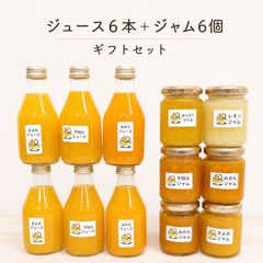 おすすめ低木6種6本セット◎マホニア◎アベリア◎カラーリーフ セットB