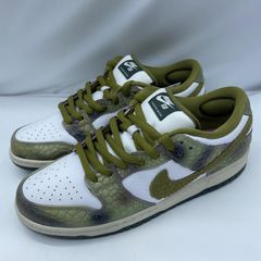 未使用】アレクシスサブローン×ナイキSBダンクロー29.0cm カメレオン