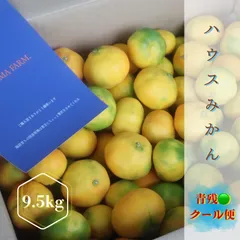 【訳あり‼️クール便‼️】唐津産　ハウスみかん　青9.5Ｋ　【家庭用】のサムネイル
