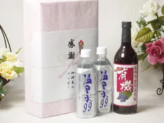 夏の贈り物お中元 感謝の贈り物ボックス 温泉水2本と酸化防止剤無添加ワインセット(酸化防止剤無添加 有機あずさ赤ワイン 中口(長野県)720ml温泉水99 500ml×2本のサムネイル