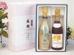 夏の贈り物お中元 感謝の贈り物ボックス 辛口スプマンテスパークリングワインと国産ワインセット(北海道の詩 プレミアムキャンベル赤ワイン 甘口(北海道)720mlフィリペッティ ゴールド ブリュット (イタリア) 750mlのサムネイル