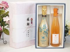 ハンガリーワイン 2本セット ギフトボックス入（頂き物） ハンガリーワイン 2本セット ギフトボックス入（頂き物） - メルカリ
