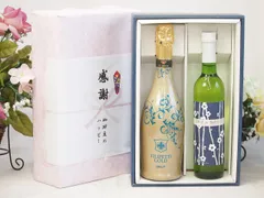 夏の贈り物お中元 感謝の贈り物ボックス 辛口スプマンテスパークリングワインと国産ワインセット(京都青谷 梅わいんワインやや甘口(京都府)500mlフィリペッティ ゴールド ブリュット (イタリア) 750mlのサムネイル