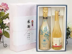 夏の贈り物お中元 感謝の贈り物ボックス 辛口スプマンテスパークリングワインと国産ワインセット(信州りんごシードルワインやや甘口(長野県)500mlフィリペッティ ゴールド ブリュット (イタリア) 750mlのサムネイル