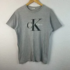 Calvin Klein カルバンクライン Tシャツ ビッグロゴ グレー M 古着 ストリート シンプルのサムネイル