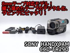 SONY ソニー CCD-TR290 Hi8 Video8 8mm ビデオカメラ 整備済み 8mm
