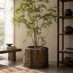 ボタニカルスツール 植物台 マウンテンリサーチ 鶴仙園 ティンバー