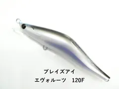 ブレイズアイ エヴォルーツ　120F (03-9306390118)のサムネイル