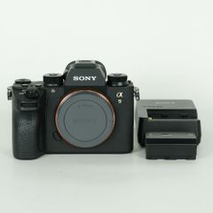 超美品】Sony α7Ⅳ本体 撮影枚数4366枚 - メルカリ