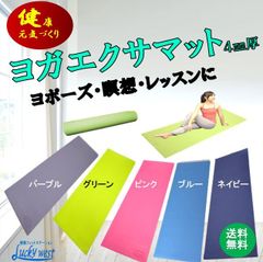 SUKALA スカーラ ヨガマット 4mm レモンライム リバーシブル ケース付