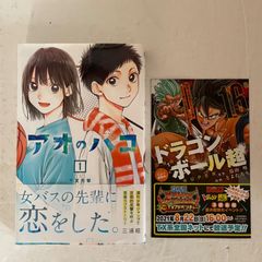 咲-Saki- 20巻 購入特典 イラストカード 小林立 スクエニ 非売品【R8