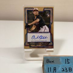 直筆サイン】ペップ・グアルディオラ Panini Prizm Auto - メルカリ