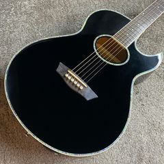 Washburn Festival Series EA20MB-12 エレアコ - メルカリ