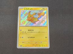 PC ポケモンカード チェレン 279/SV-P ビクティニBWR争奪戦 ※商品説明
