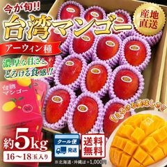 タケちん様/沖縄産☆アーウィンマンゴー(特大3個)2箱 - メルカリ