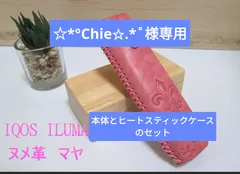 専用出品　本体とヒートスティックケース2セットのサムネイル