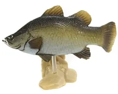 【中古】トレーディングフィギュア 13.アカメ(目黒/台座：ベージュ) 「原色淡水魚図鑑I」のサムネイル
