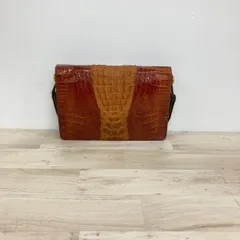 クロコダイル/ワニ革 ハンドバッグ ブラウン系 エキゾチックレザー 鞄/手提げバッグ[OC02226]のサムネイル