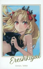 【中古】紙製品 ランサー/エレシュキガル 「Fate/Grand Order 10th Anniversary “OVER THE SAME SKY” ポートレイトコレクションD」のサムネイル