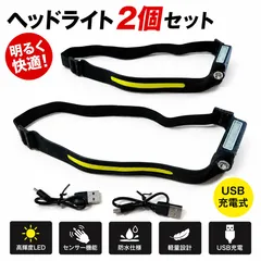 自動車整備 アウトドア スポーツ LEDヘッドライト 2個セット 人感センサー付き 充電式 軽量 防水 釣り 登山 防災のサムネイル