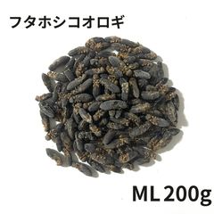 冷凍フタホシコオロギ 1kg / 冷凍コオロギ - メルカリ