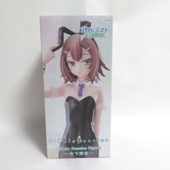 勇*太様 【未開封】バカとテストと召喚獣 木下秀吉 BiCute Bunnies