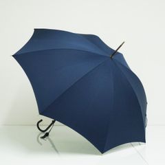ツタエノヒガサ 美品 テングノタスキ 遠州藍 親骨50cm - メルカリ