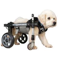 犬用車椅子 2輪 歩行器 後ろ足用 大型犬 ラブラドール ゴールデン
