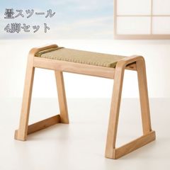 極美品】現行モデル バランスイージー 純正カバー付 ショートフレーム