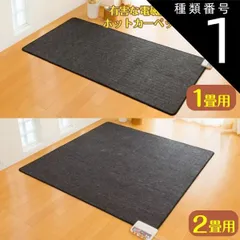 種類1：1畳用 ホットカーペット 1畳 2畳 電磁波99%カット 電気カーペット ZCB-10S ZCB-20S 絨毯 ラグ 省エネ 暖房 一人用暖房器具 ゼンケン 電気ホットカーペット 本体のみのサムネイル