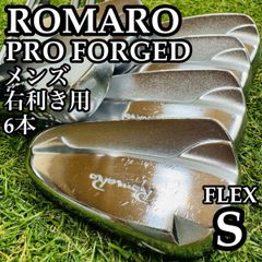 激レア】ロッディオ ロッディオフォージド メンズアイアンセット 5本 R